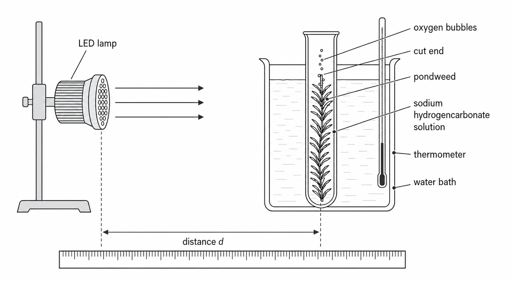 Measure lamp distance from its light-emitting face to the pondweed; control the water temperature.