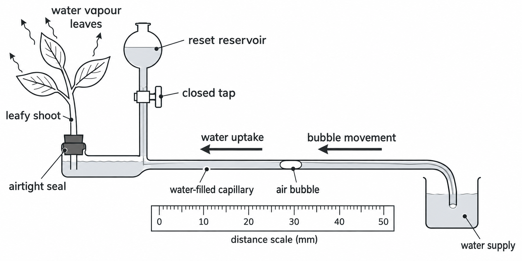 The bubble moves towards the shoot as water is taken up. Close the reset tap while taking measurements.