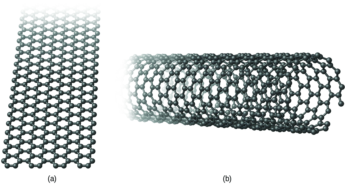Graphene sheet and carbon nanotube
